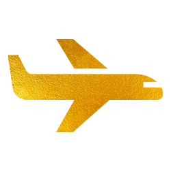 Airplane Delivery Icon